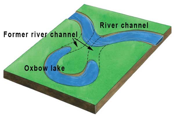 Oxbow lake, an image in Texas Aquatic Science by author Rudolph Rosen