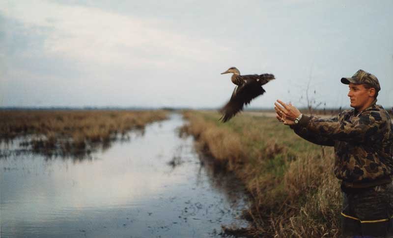 Wildlife biologist, an image from Working and Careers in Water and Aquatic Science from the book Texas Aquatic Science by author Rudolph Rosen.