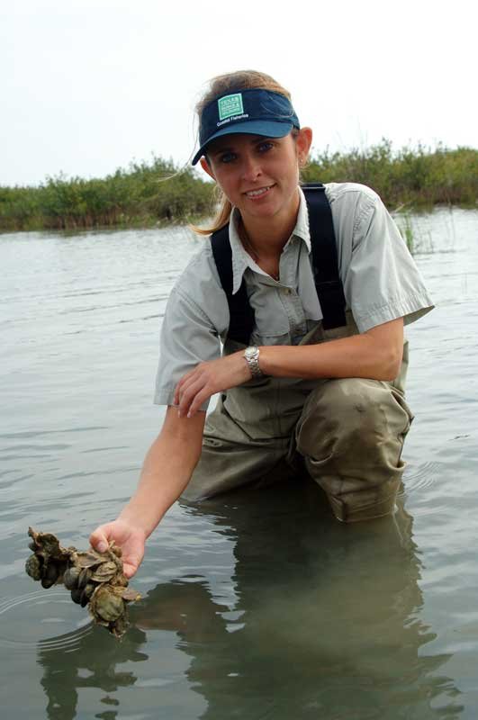 Benthic ecologist in the water holding an oyster, an image from Working and Careers in Water and Aquatic Science from the book Texas Aquatic Ecosystem Science by author Rudolph Rosen.