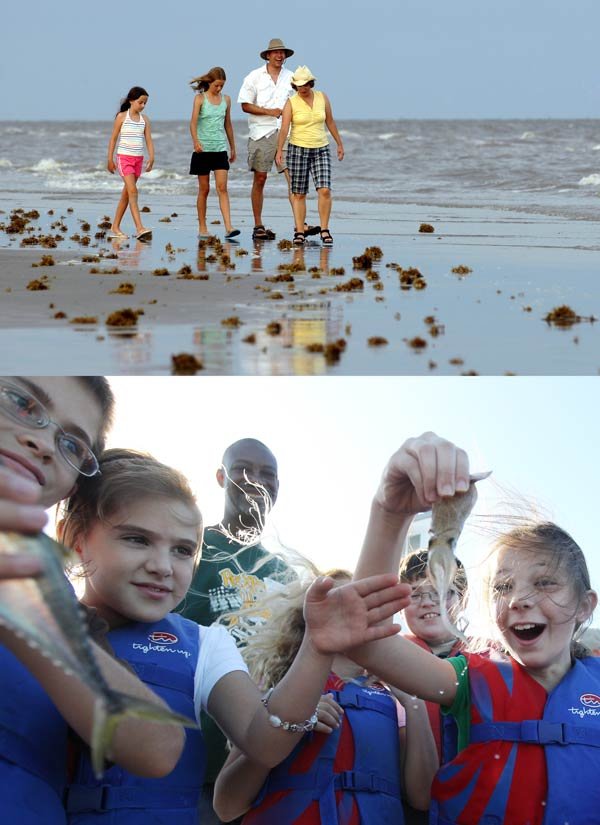 Beach and bay education, an image in Texas Aquatic Science by author Rudolph Rosen