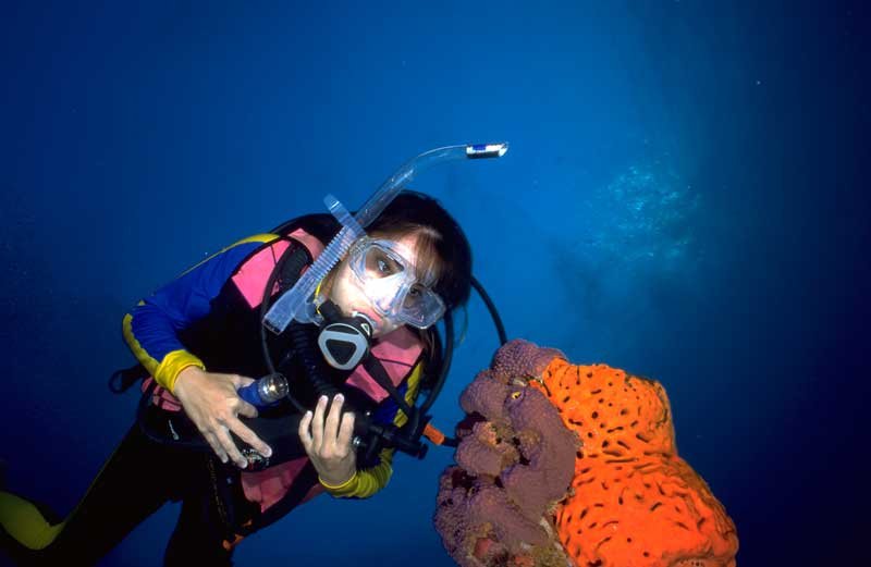 A young marine biologist in SCUBA gear looking at a marine coral, an image from Working and Careers in Water and Aquatic Science from the book Texas Aquatic Science by author Rudolph Rosen.