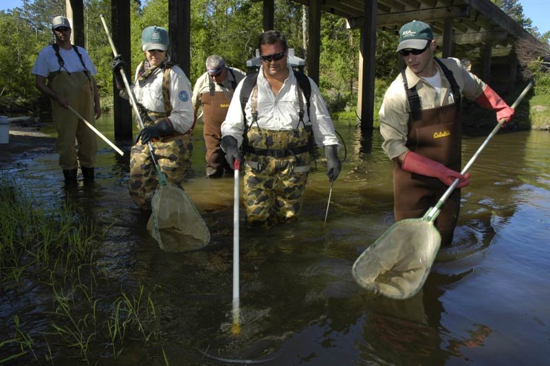 Fisheries biologists sampling fish using electroshock gear conducting fisheries research and management work, an image of Working and Careers in Water and Aquatic Science from the book Texas Aquatic Science by author Rudolph Rosen.