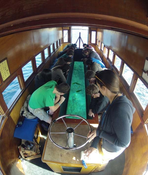 Aquatic science educator, an image in Texas Aquatic Science by author Rudolph Rosen