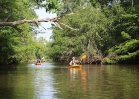 Collier&#x27;s Ferry to Lake Bayou Paddling Trail - Paddlers