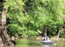 Collier's Ferry to Lake Bayou Paddling Trail - Paddler