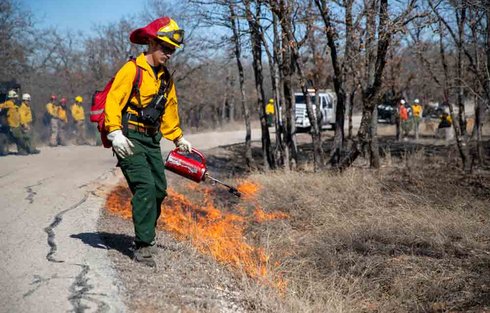 Prescribed Burn - Man with Torch