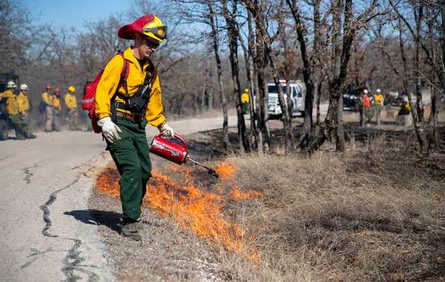 Prescribed Burn - Man with Torch