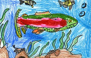 Mighty Minnow Award