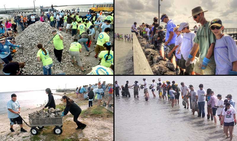 Students work to recycle an oyster reef, an image of a Texas Aquatic Science Class Project from the aquatic science textbook by author Rudolph Rosen. Photo credits: Harte Research Institute for Gulf of Mexico Studies, Corpus Christi Caller Times