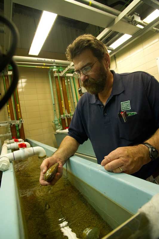 Aquatic science biologist monitoring environmental contaminants, an image in Texas Aquatic Ecosystem Science by author Rudolph Rosen