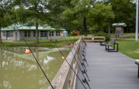 fishing poles