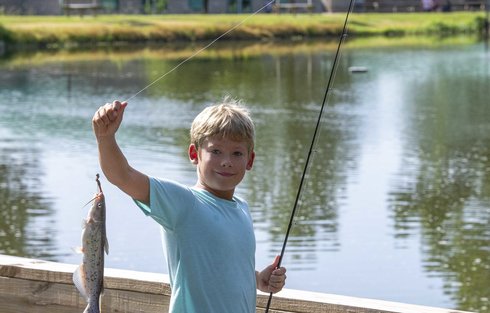 catch a fish