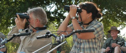 Two people birdwatching with binoculars