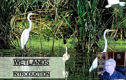 Texas Aquatic Science Video Chapter 10 Screenshot