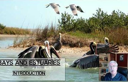 Texas Aquatic Science Video Chapter 11 Screenshot