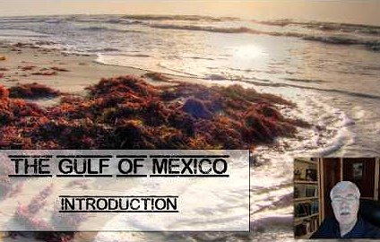 Texas Aquatic Science Video Chapter 12 Screenshot