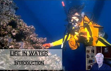Texas Aquatic Science Video Chapter 4 Screenshot