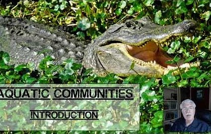 Texas Aquatic Science Video Chapter 5 Screenshot