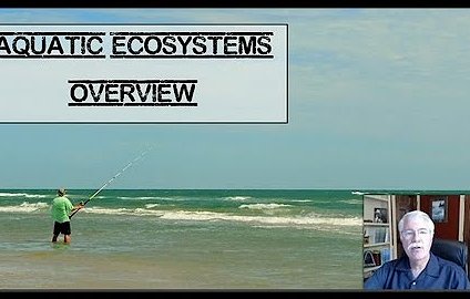 Texas Aquatic Science Video Chapter 6 Screenshot