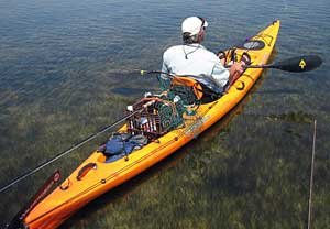 Paddler on seagrass - Lighthouse Lakes Paddling Trail