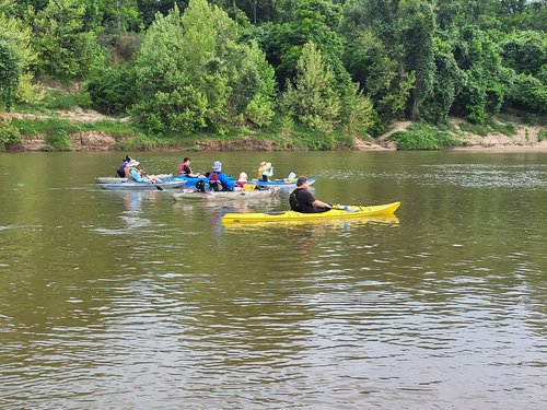 paddlers
