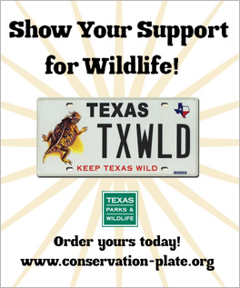 Show your support for wildlife, Order your conservation license plate today!