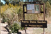 demo garden