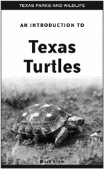 Introduction to Texas Turtles Ad