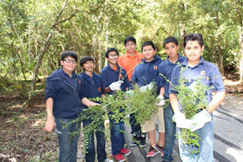 students removing invasives