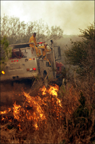 Firefighters work to douse the Chaparral WMA wildfire