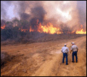 Chaparral WMA fire