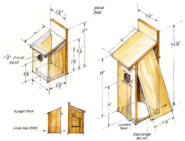 wood duck ducks org box blueprint