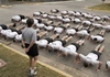 Cadet Training 0007