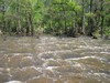 Neches River Mitigation Site - Catahoula Formation