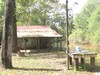 Neches River Mitigation Site - Hunting Camp