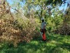 Goliad State Park Post Harvey Cleanup