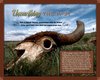 Caprock Canyons Visitor Center - Unearthing the Past Exhibit Panel