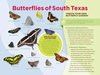 Butterflies of South Texas Exhibit Panel