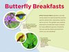 Butterfly Breakfasts Exhibit Panel