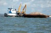 Tug Boat and Barge Containing Oyster Cultch Material at Reef Site in East Bay