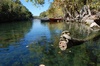 Turtles and Canoes on Barton Creek