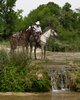 Hill Country State Natural Area - 2