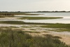 3 - Wetland Marshes Along Powderhorn Lake
