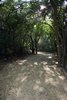Ebony Trail 2 at Resaca de la Palma State Park