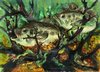 State-fish Art Contest - Nedzelskyi