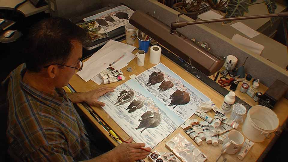 Wild Artist, Rio Grande Rafting & Balmorhea Birds