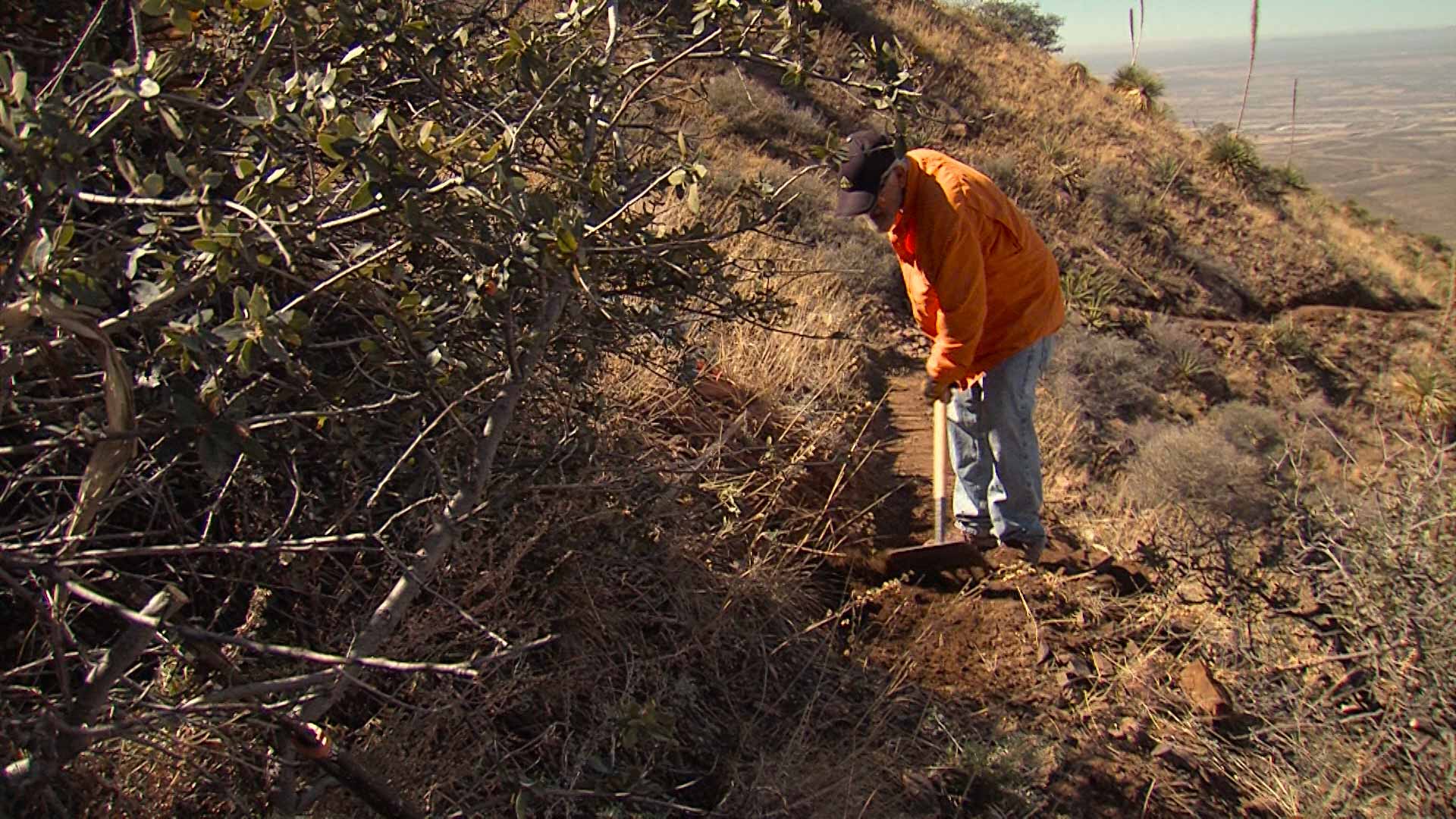 El Paso Trails, Saving Some Bison & Shifting Sands
