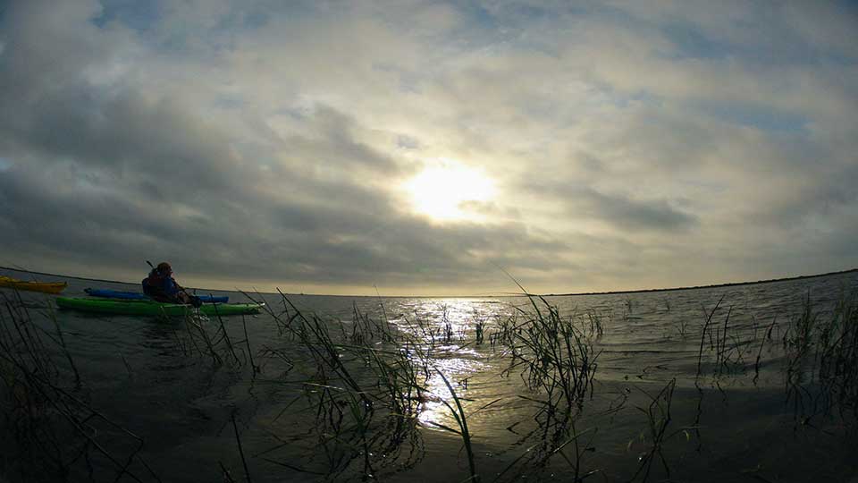 Catching Copperheads, City Camping & Delicious Dove