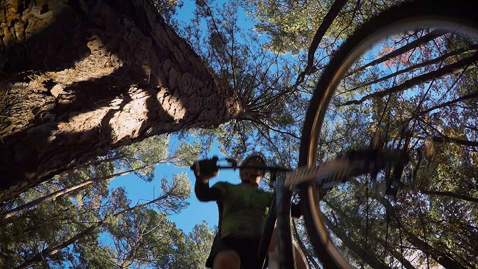 Biking Tyler, Desert Skies & Charlie’s Cannon