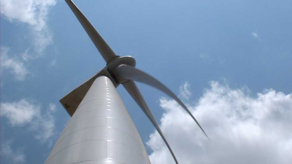 Bee Searcher, Coastal Winds & Turkey Work